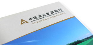 淄博畫冊設計與品牌形象塑造 輝盛企業(yè)形象設計公司的專業(yè)服務